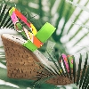 Lacet, bride à boucle et confort Fluo